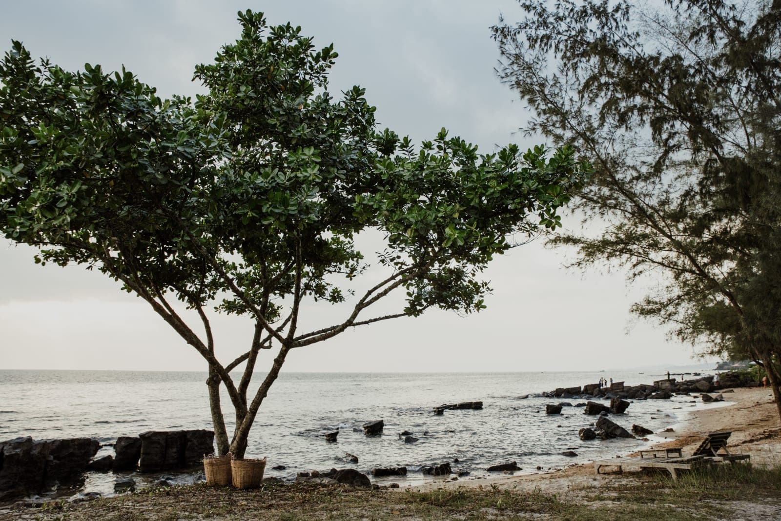 Quiet green beach setting in Phu Quoc, Vietnam