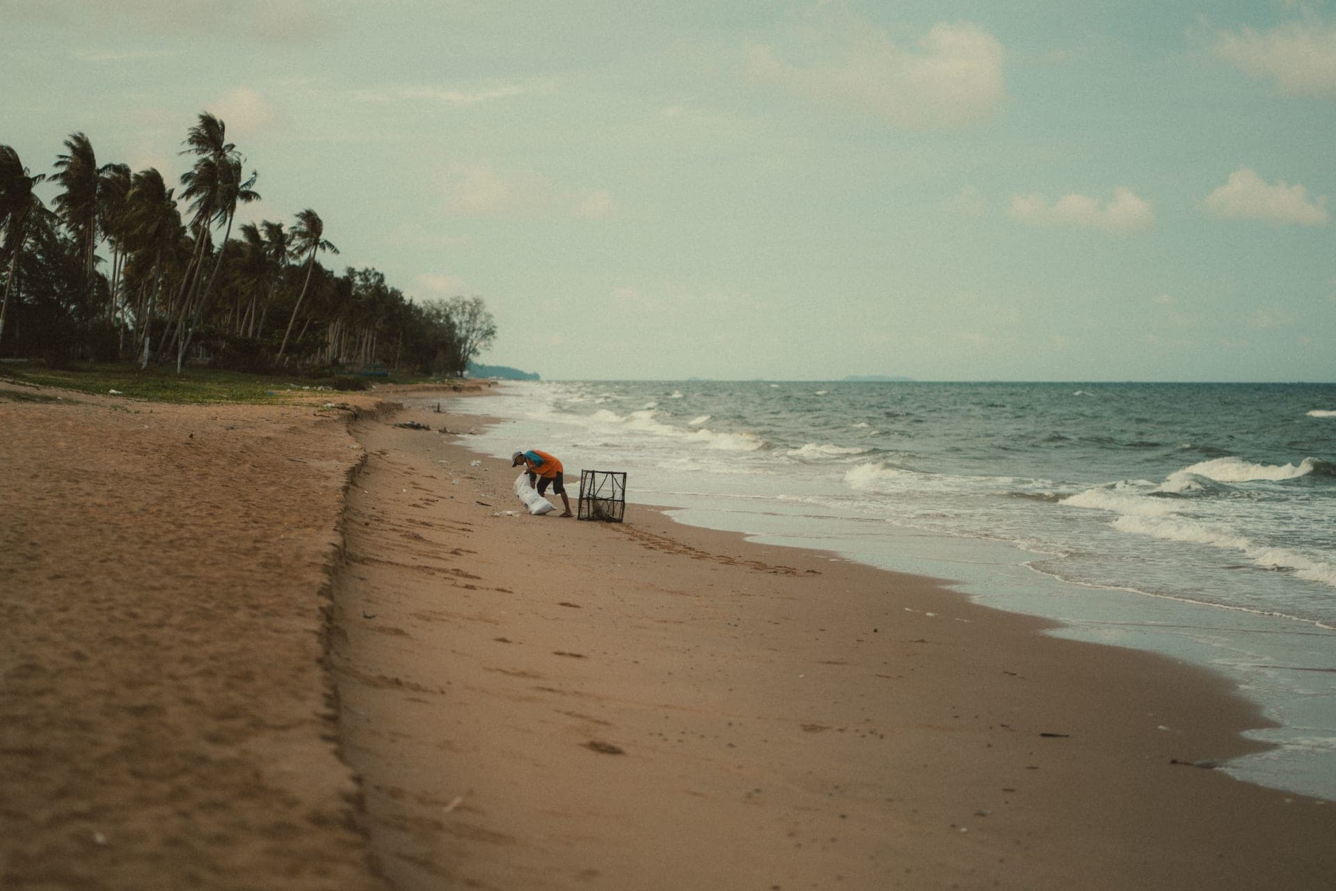 Palm-lined beach in Phu Quoc, Vietnam